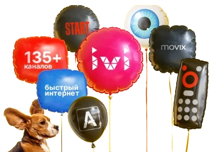 Услуги Дом.ру в село Точильное